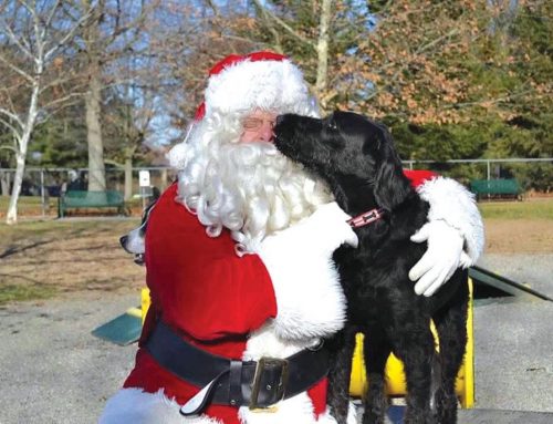 Holidays at the Dog Park