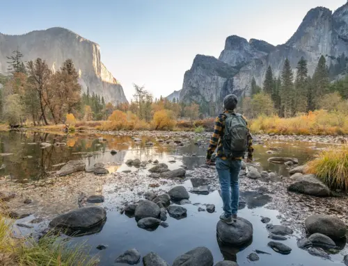 Importance of national Parks